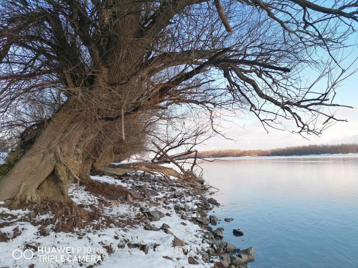 Danube Fairy Villa Futog Luaran gambar