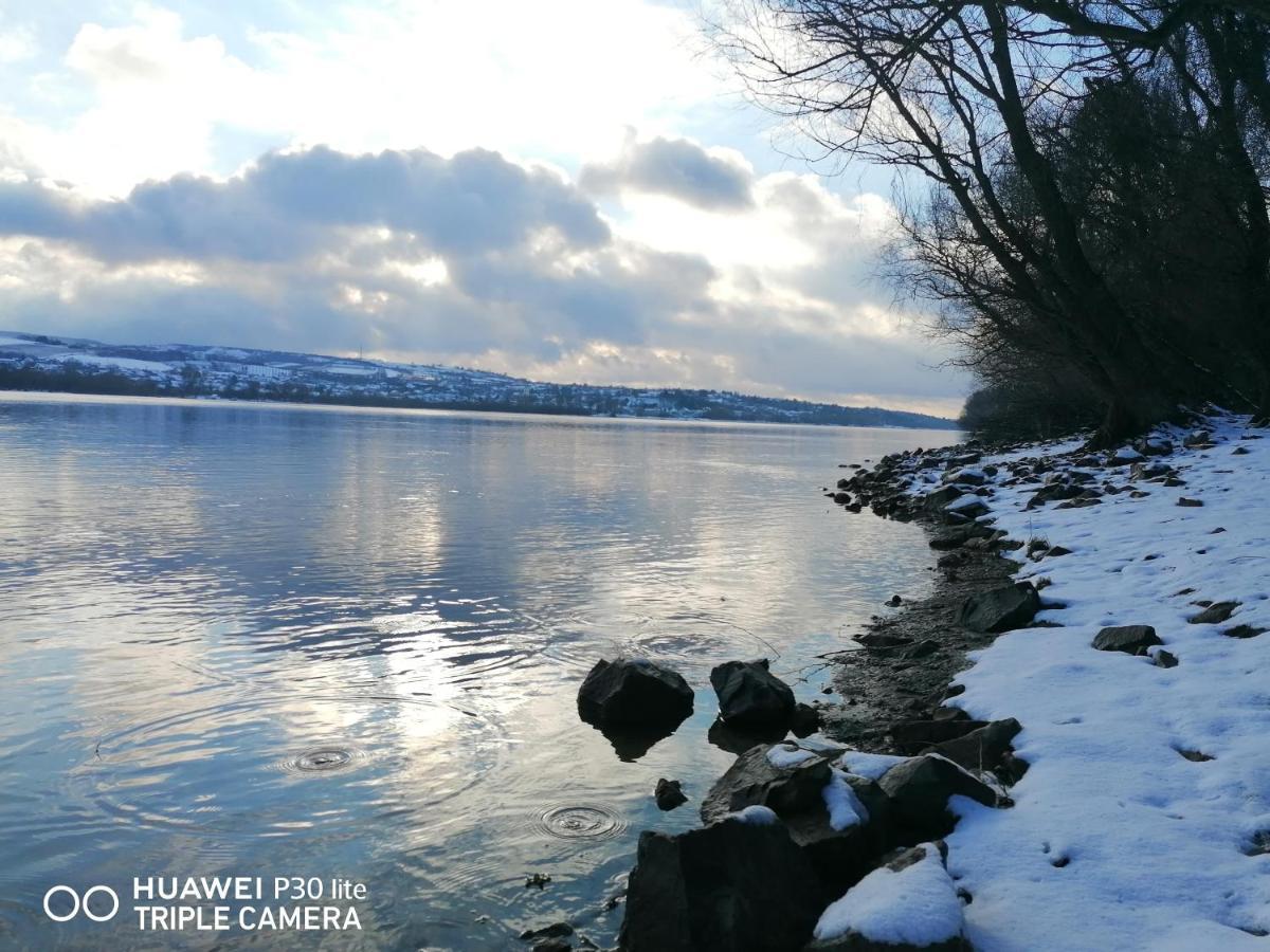 Danube Fairy Villa Futog Luaran gambar